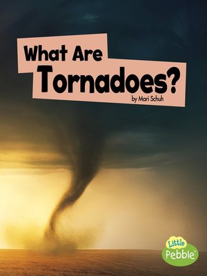 cover image of What Are Tornadoes?